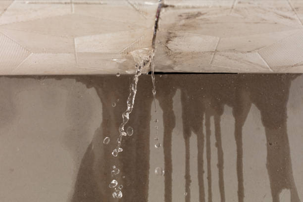 Professional Burst Pipe Cleanup technician working in Boston, IN